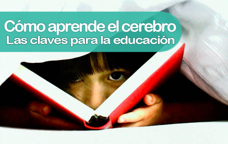 Cómo aprende el cerebro – Uta Frith & Sarah-Jayne Blakemore