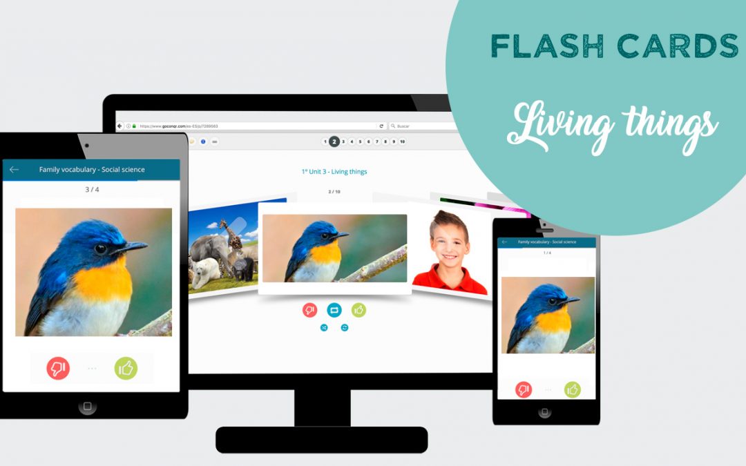 Flash cards: ‘Living things’