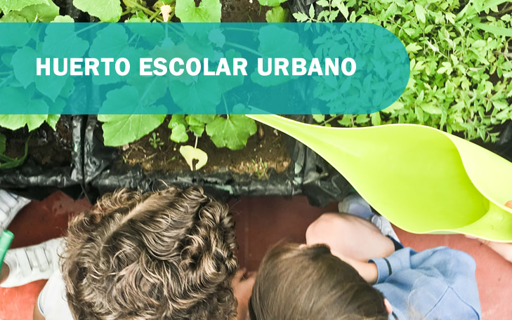 Huerto escolar urbano
