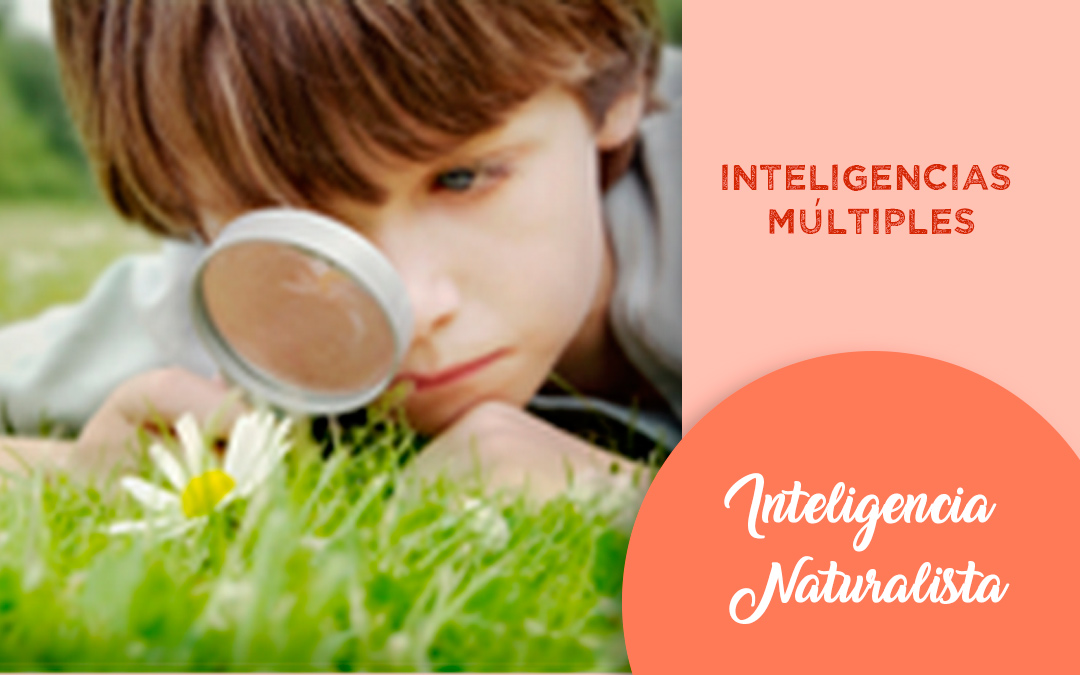 Inteligencia naturalista